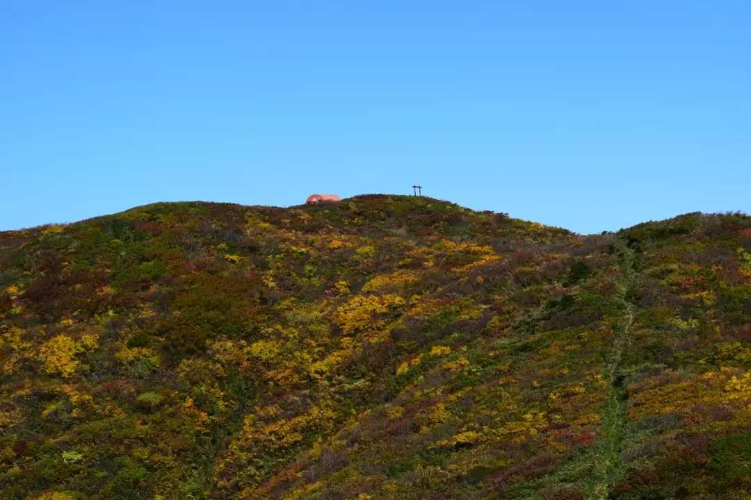 二王子岳の写真