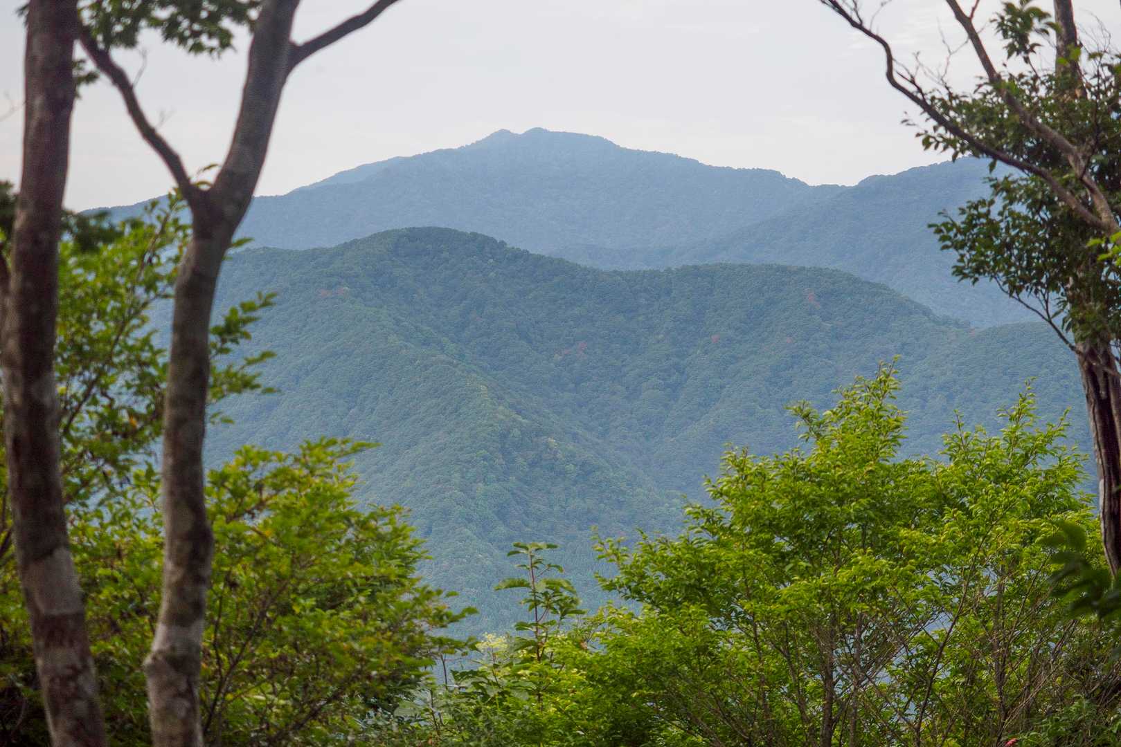 おとなりの山、富士写ヶ岳