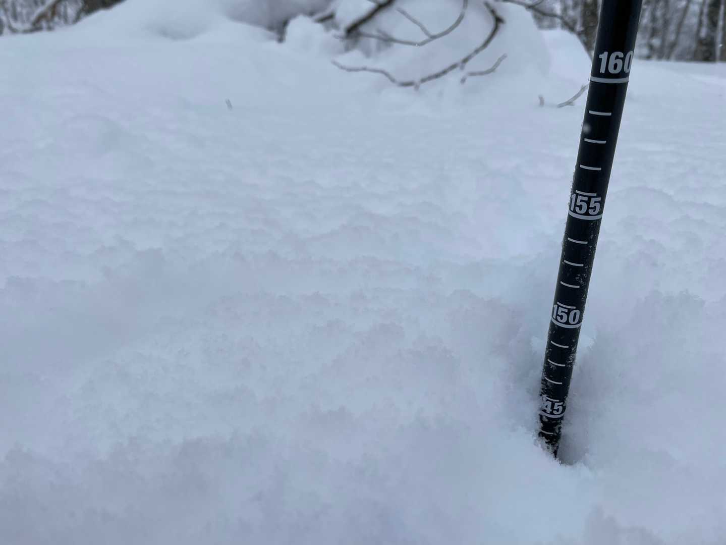 最近のマイブーム
しつこく積雪を測定。塩狩と同じ。
「同じ山域なんだから同じなんじゃない」と、冷静にO氏に告げられる。