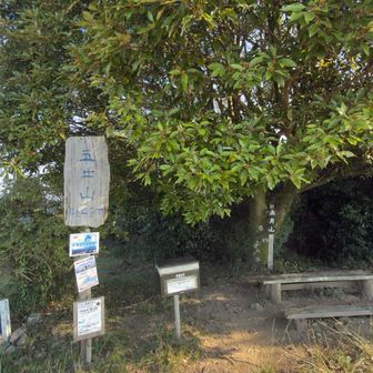 いつもの看板