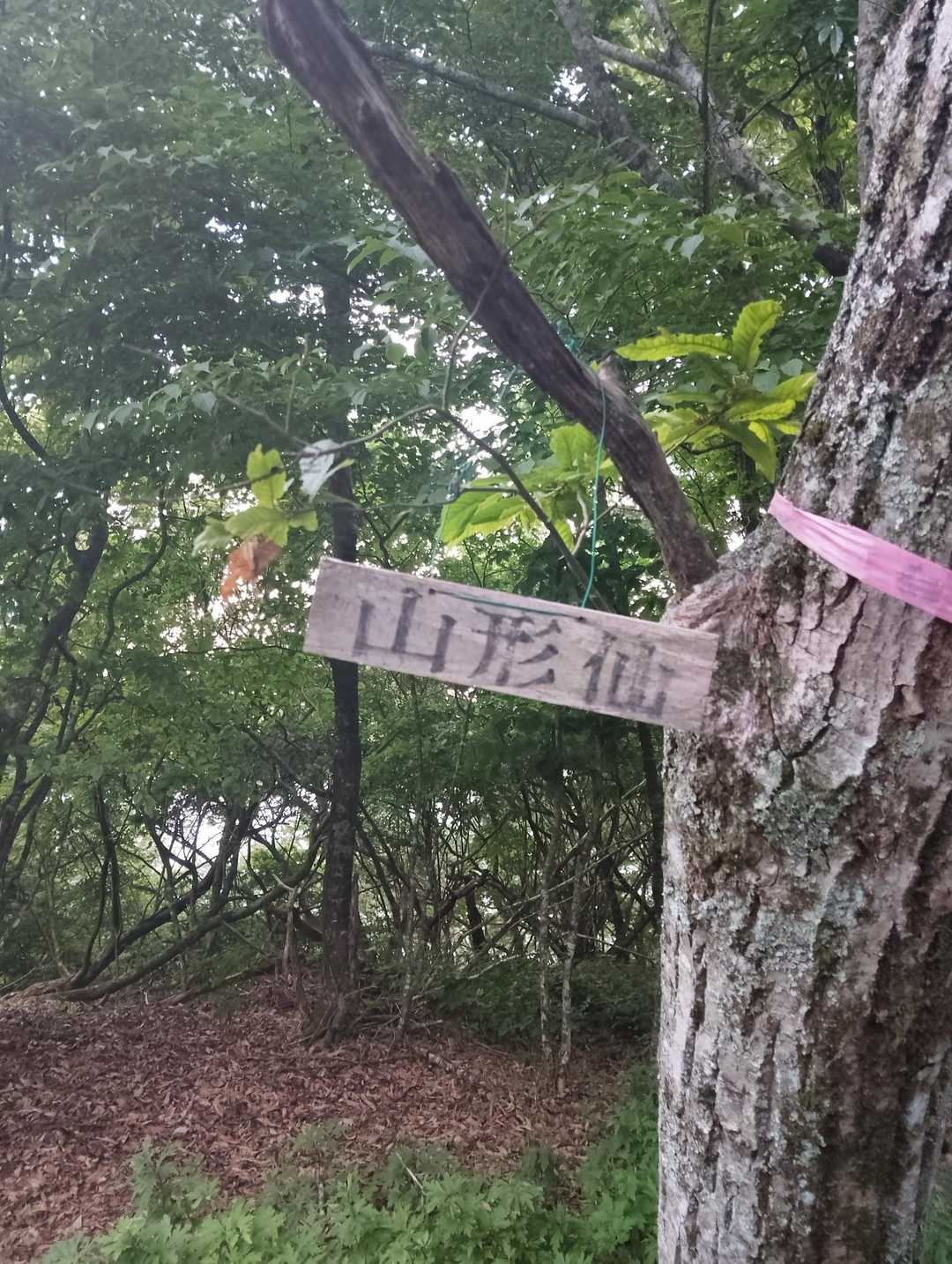 早とちり現場から少し進むと真実の山形仙の山頂がありました😆

これで岡山百名山登頂は90座目となりました☺  