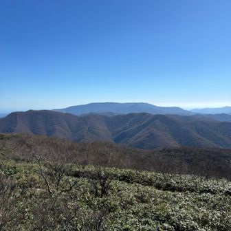五葉山。