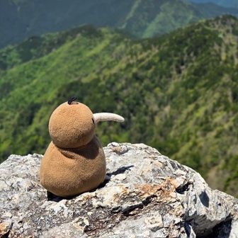 ちゃちゃたち。
