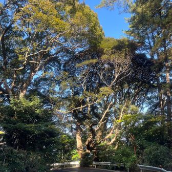 ちょっと車道歩きです🚶‍♂️