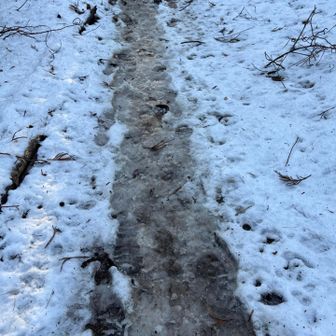 林の中はシャーベット状