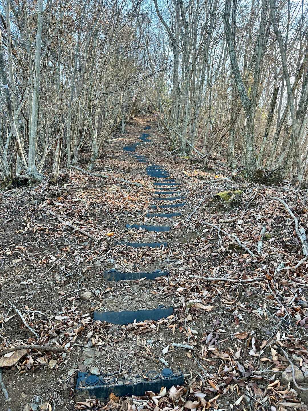 写真では伝わらない急登も度々🤣