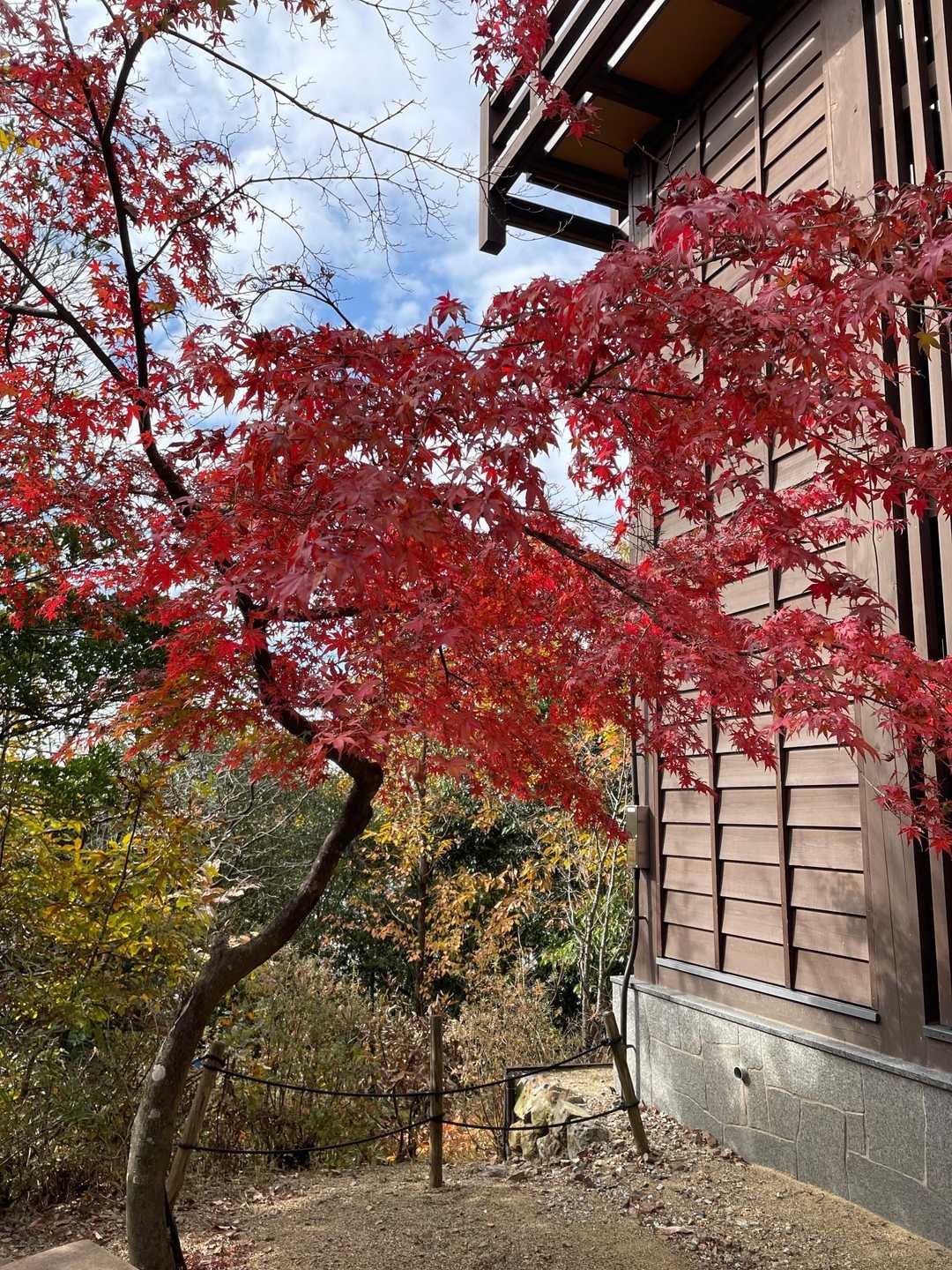 展望台の横に