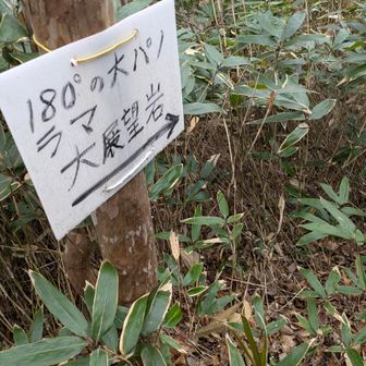 お、オアシスの予感