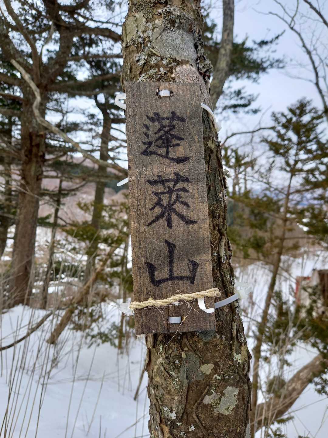 標識がありました　✌️