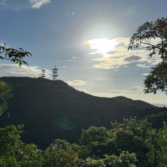 イナバ山🙌