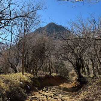 ラスボス感ある金時山