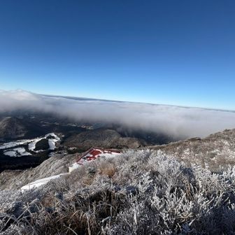 霧氷、青空、雲海
