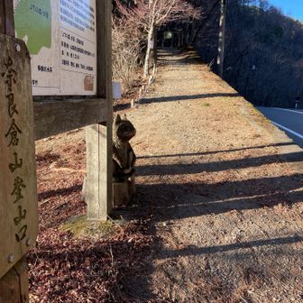 やっとこさ、鶴峠に到着！
ここまで早歩きでスタートから約1時間。思っていたよりも早く鶴峠に到着出来てよかったです。
ここから、いよいよ登山開始です❗️
