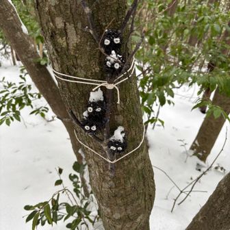 まっくろクロスケも寒さで縮こまってる？