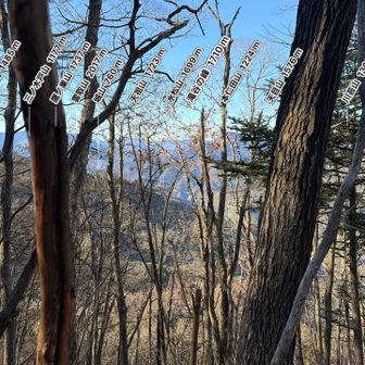 長沢背稜を臨む　あれは遠く長い稜線だった