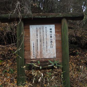 会社の所有地らしいです。