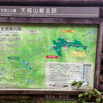 天城山縦走路たった17kmなのに全然進まない
