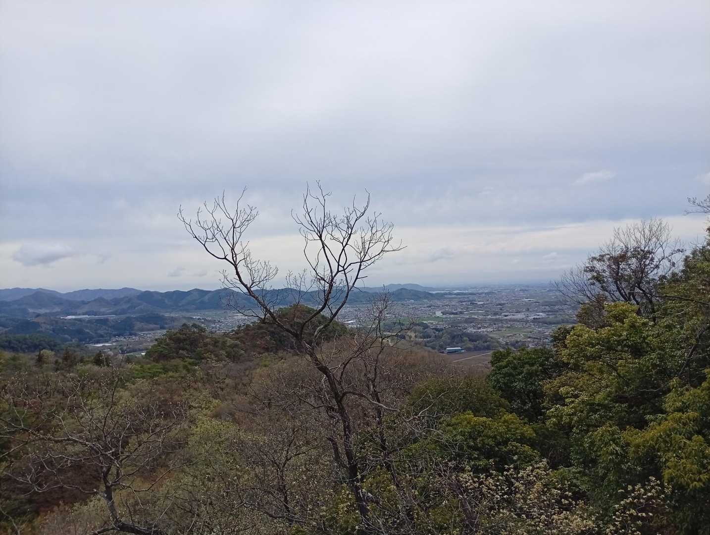 出尾根コース登山口-三床山 周回コースの写真
