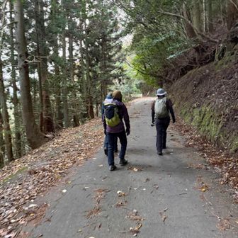 おつかれ様でした