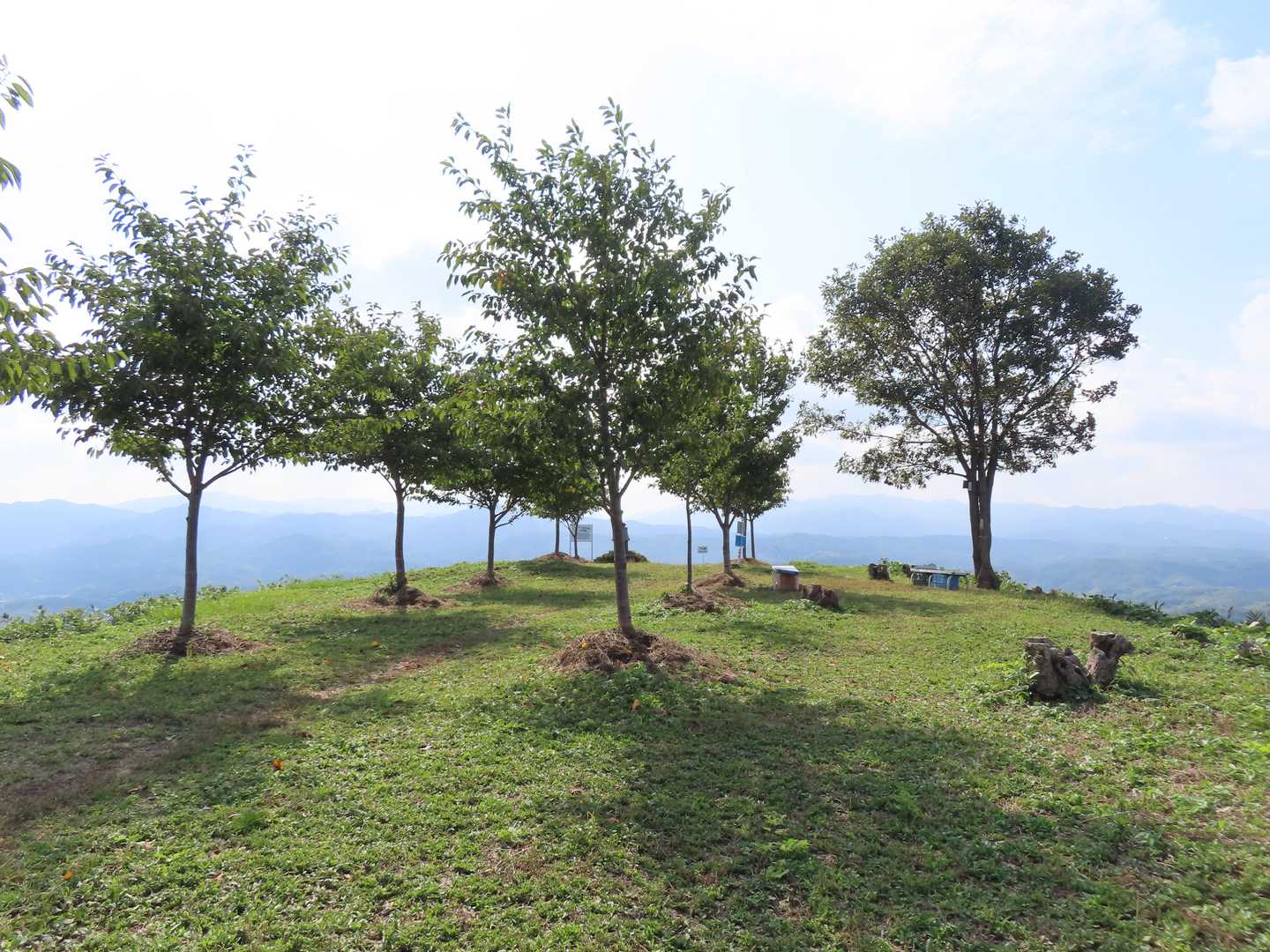 上佐山256ｍ 山頂　桜の季節は最高 (^^♪