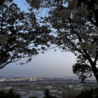 靄って橋は見にくい