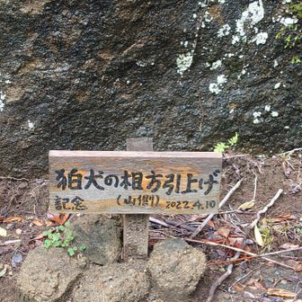 狛犬の相方引上げ？