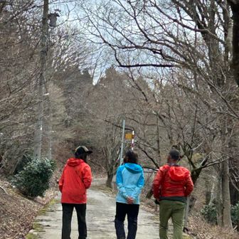 道は舗装されてます