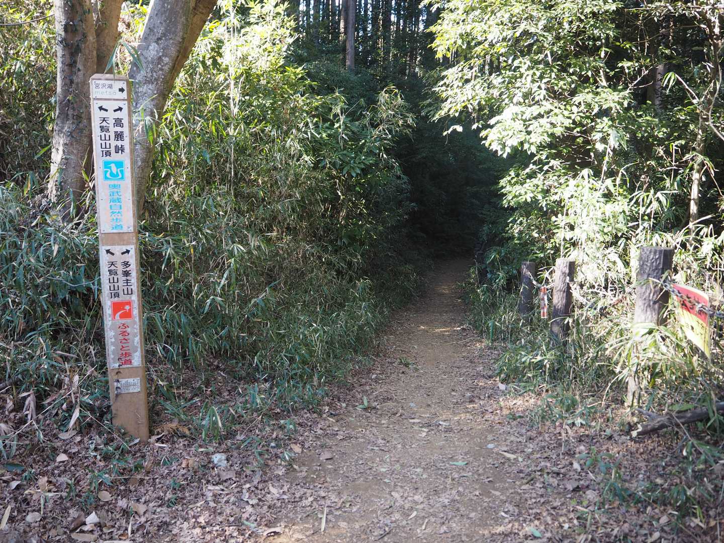 直接「多峯主山」を目指します。