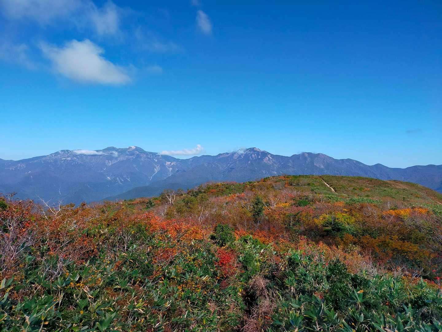 白山・別山 
何度も振り返り
また来年お花の頃に歩けますようにꕤ.｡