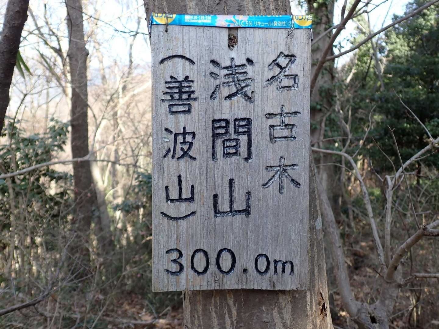 浅間山