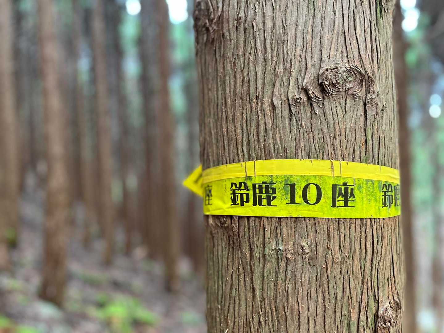 鈴鹿10座、7座目