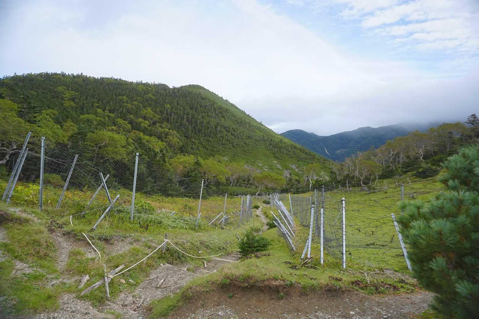 樹林帯を抜けると急に開けて鈴鹿の台地のよう