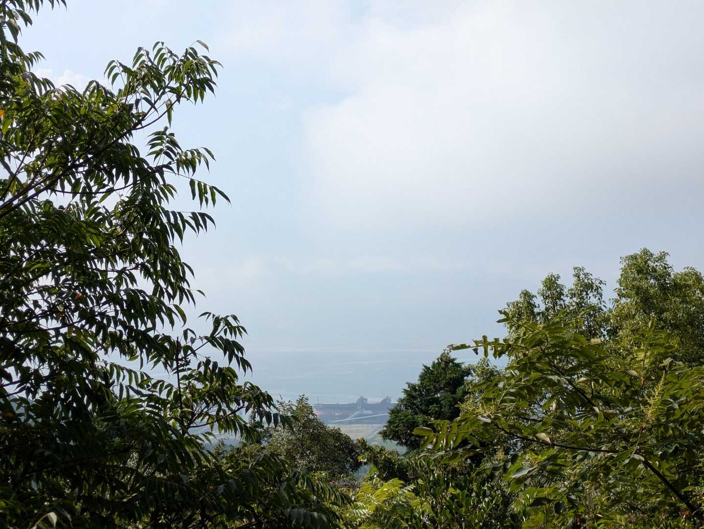 第一展望台からのながめ👀

🌳茂ってる😆