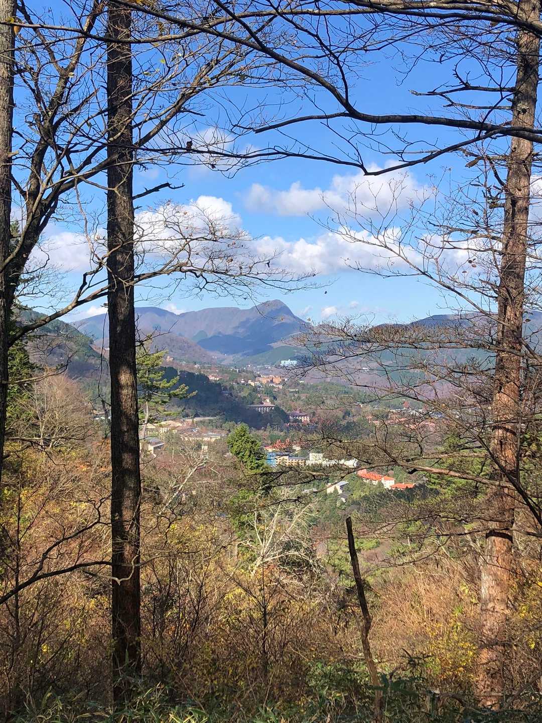 登山道から、あれ金時山かな？