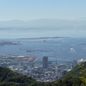 再度山からの景色