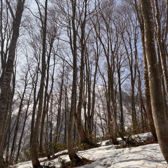 ツボだと滑ってきた💦
まだまだアイゼンなしで行ける🥾
