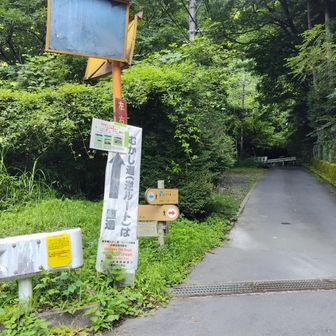 水根沢林道から鷹ノ巣山は、まっすぐ。右に曲がると六ツ石山の水根コースへ。