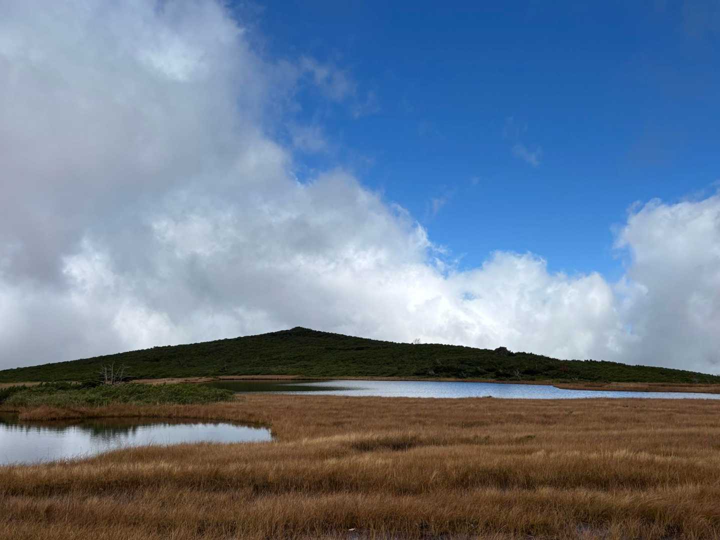 愛山渓登山口-沼ノ平-1591ピーク 往復コースの写真