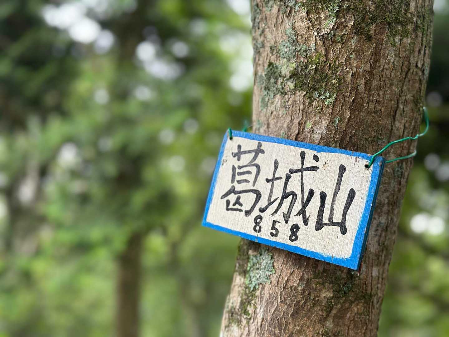 ▪︎和泉葛城山⛰️山頂▪︎