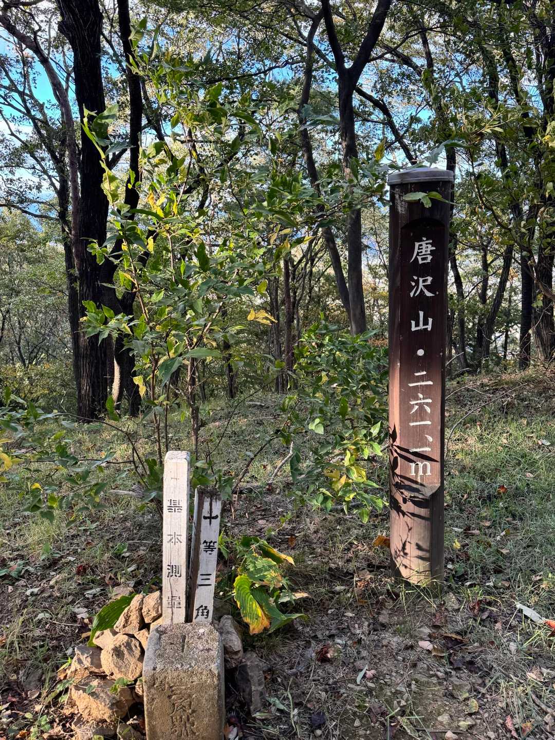 ここだけ立派な山頂標と三角点が😎