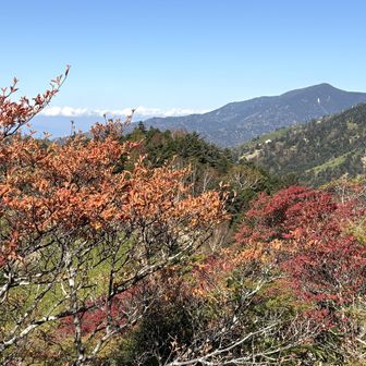 山頂から恩田大川入山方面に進むと恵那山が見えました。