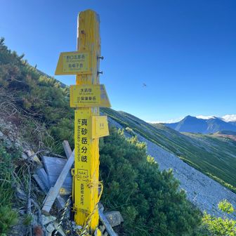 竹村新道分岐