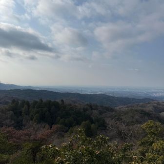 元岩巣山山頂付近
山頂看板は見つけられませんでした
低山ながら良い展望です😄