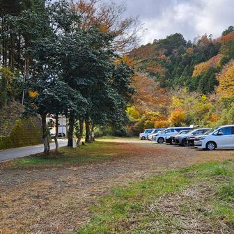 駐車場、車10台程になっていた