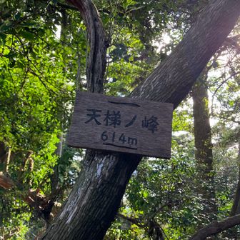 二つ目のグレピです😚