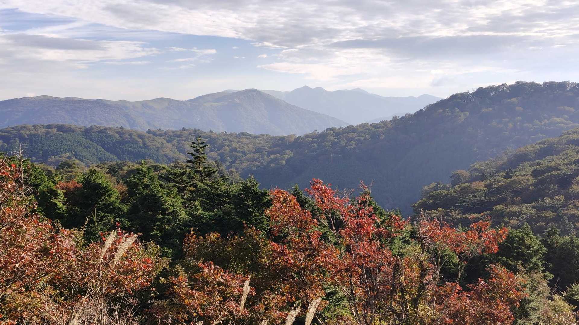 紅葉も始まってる