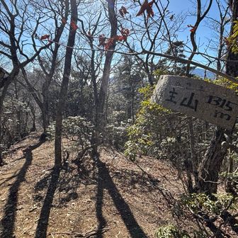 偉主山は写真だけ撮って華麗にスルー