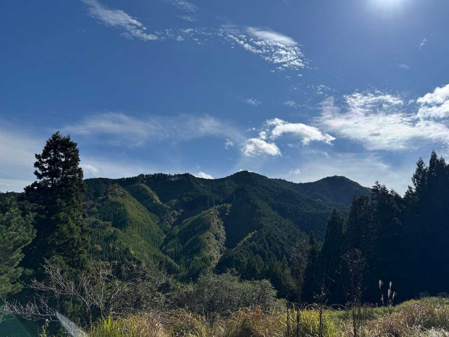 最高の天気ですね〜いいよいいよー☀️