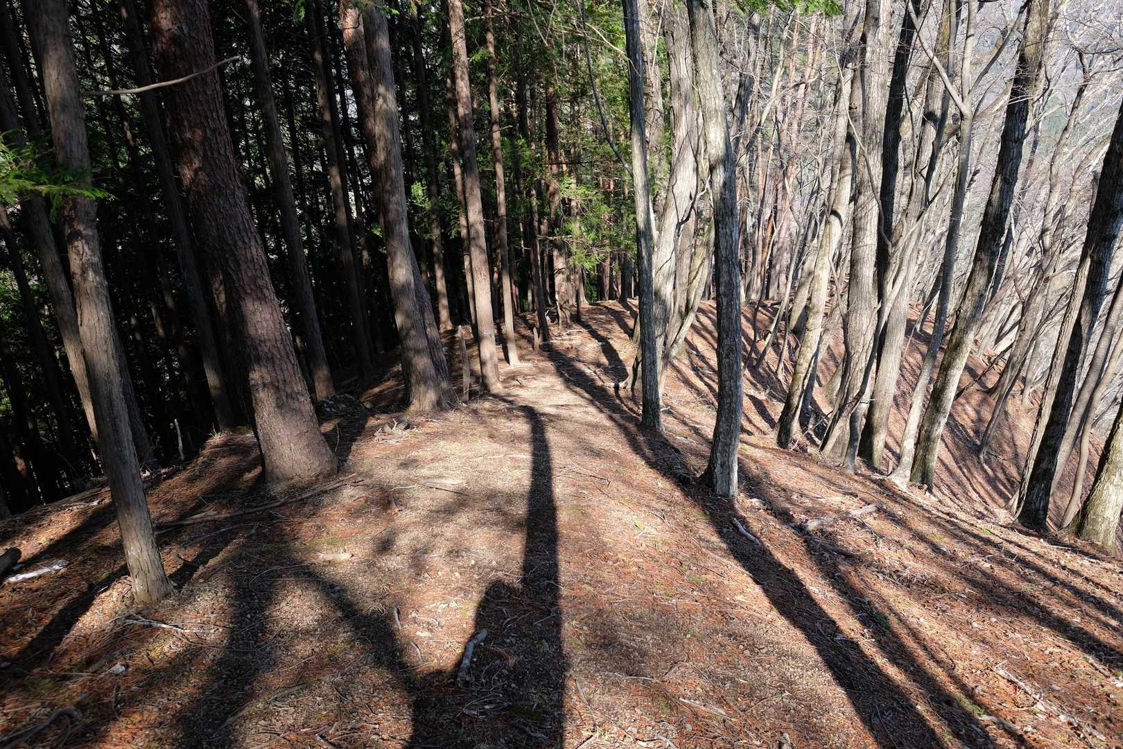 前回来た時に気になった尾根を行きます