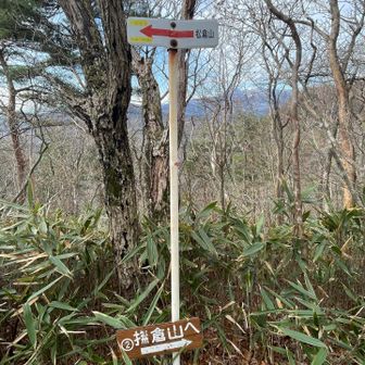 この看板に騙された
そういえば前回も…って思い出しました😅
左に行くと松倉山三角点はあるけど
山頂の看板はない！
山頂はどこ？ってなります
これ、山頂は右側にすぐ見えます
わかりにくくないですか？
私だけ？